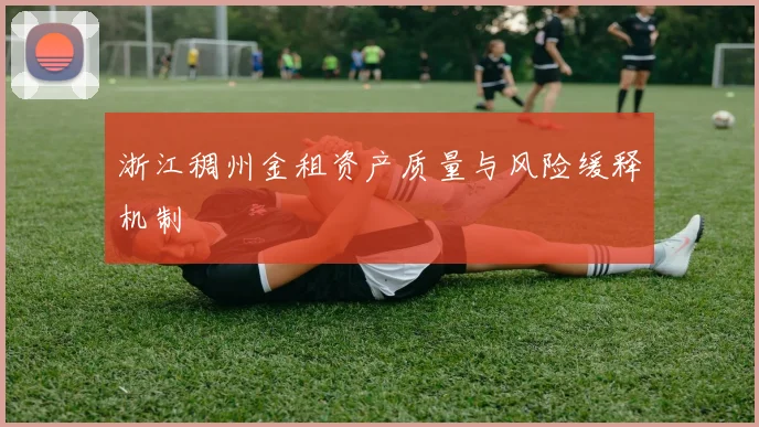 浙江稠州金租资产质量与风险缓释机制