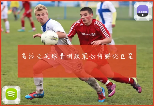 乌拉圭足球青训政策如何孵化巨星