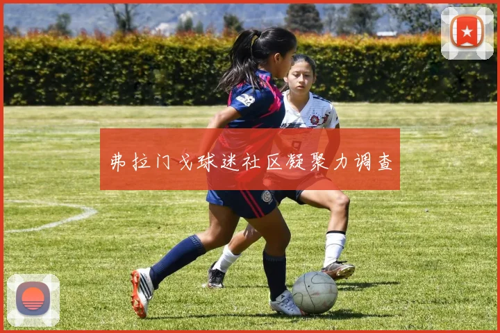 弗拉门戈球迷社区凝聚力调查