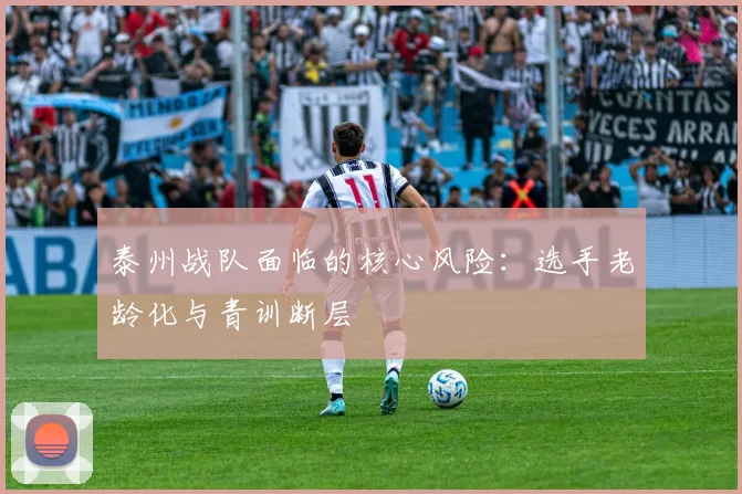 泰州战队面临的核心风险：选手老龄化与青训断层