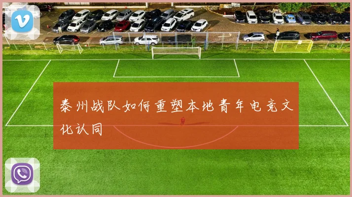 泰州战队如何重塑本地青年电竞文化认同